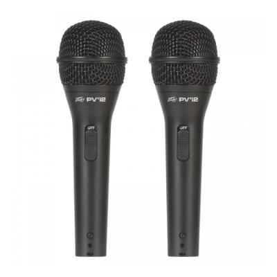 PEAVEY PVi 2 (пара)